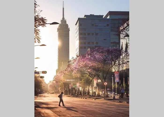 Lavish & Vibrant Apt. Bellas Artes Palace And Park View Apartment